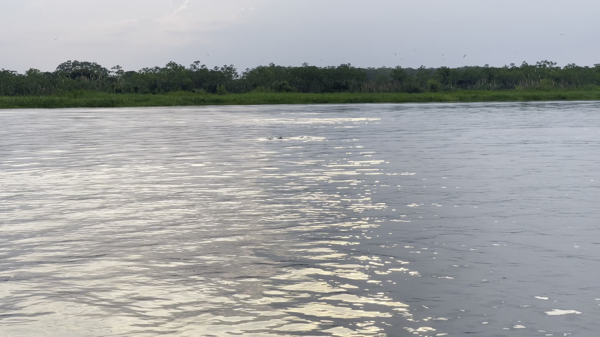 River Exploration
